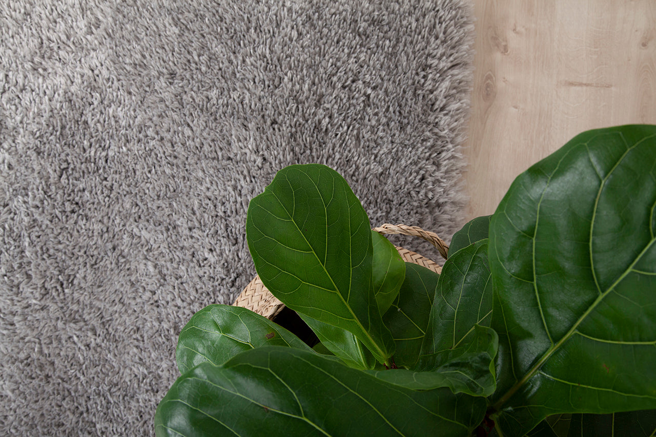 Tappeto Shaggy Bold Grigio - Morbido e Resistente