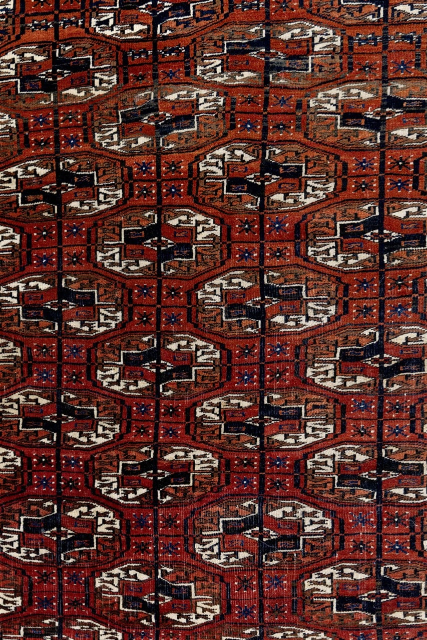 Tappeto Orientale Bouchara Antico: Autentico Tappeto Turcomanno 313x210cm