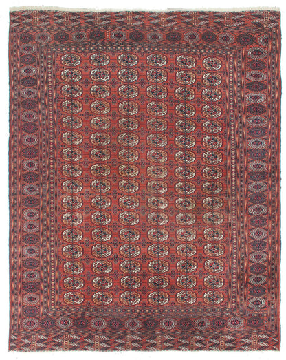 Tappeto Orientale Bouchara Antico: Autentico Tappeto Turcomanno 323x255cm