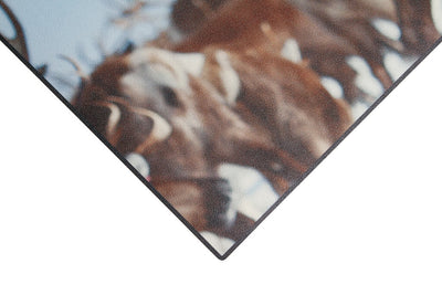 Tappeto per la Cucina in Vinile - Antiscivolo - Made in Italy - VISTA NORTH - CarpetLiving