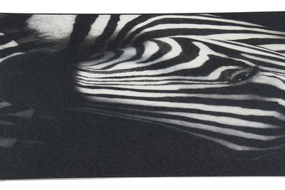 Tappeto Decorativo Vinile Vista BW04 Zebra – Bianco e Nero – Made in Italy - CarpetLiving