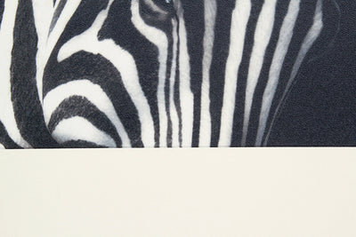 Tappeto Decorativo Vinile Vista BW04 Zebra – Bianco e Nero – Made in Italy - CarpetLiving