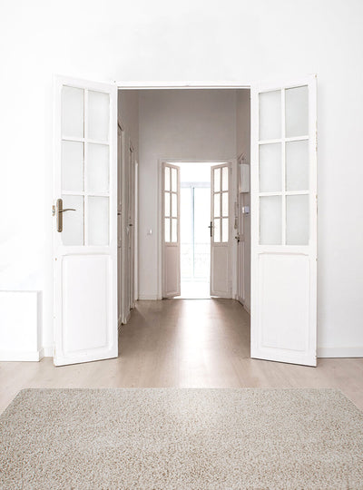 Tappeto Shaggy Boston Grigio Avorio - Tinta Unita - Morbido e Resistente | Ideale per ogni ambiente - CarpetLiving