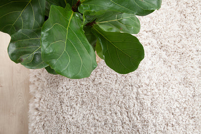 Tappeto Shaggy Bold Avorio - Morbido e Resistente - CarpetLiving