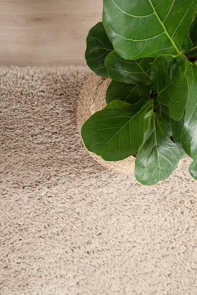 Tappeto Shaggy Bold Beige - Morbido e Resistente - CarpetLiving