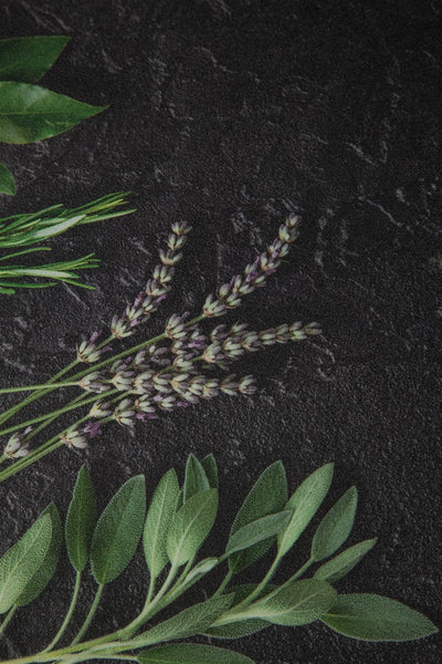 Tappeto Cucina Vinile Vista Erbette – Erbe Verdi – Made in Italy - CarpetLiving