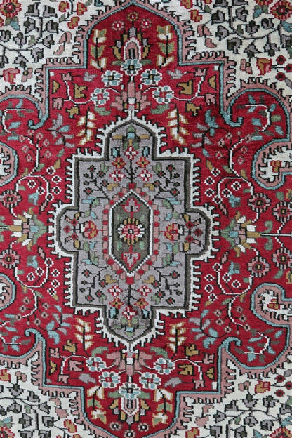 Tappeto Agra in Viscosa  - Effetto Seta - Stile Orientale  308x240cm