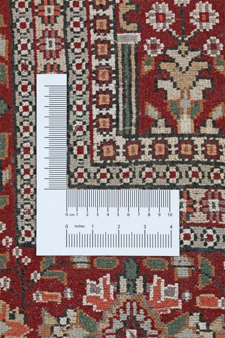 Tappeto Agra in Viscosa  - Effetto Seta - Stile Orientale  309x185cm - CarpetLiving