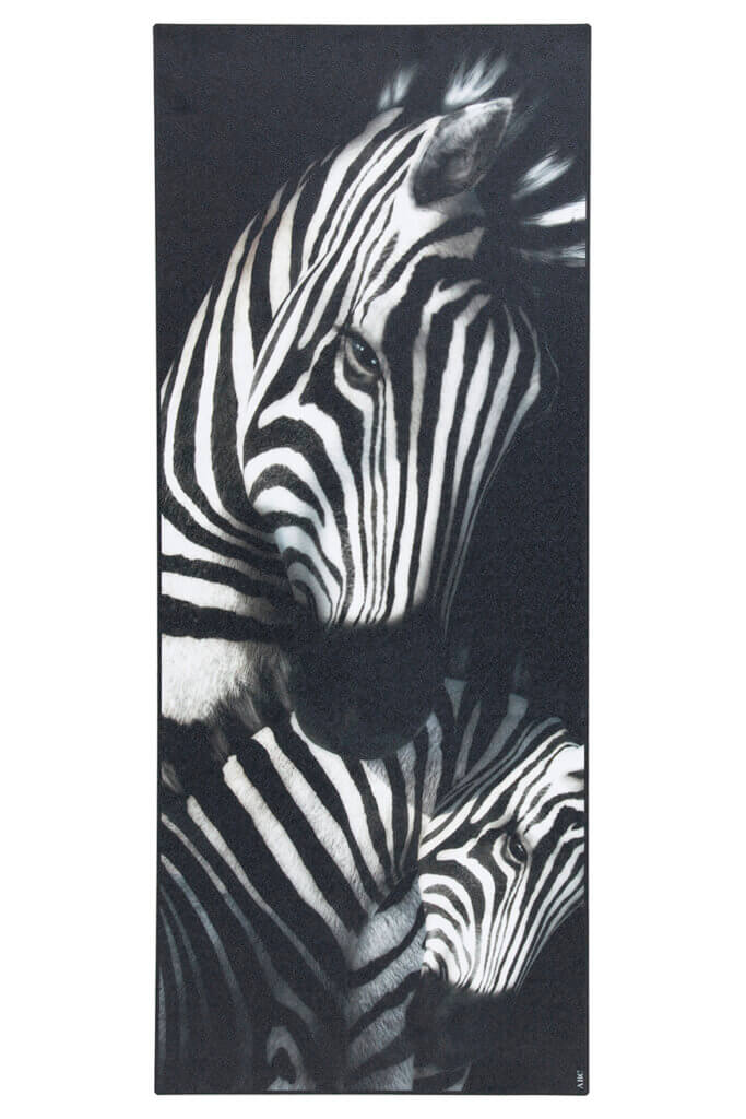 Vista zebra